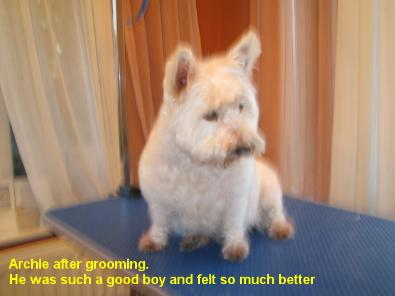 Archie - before and after